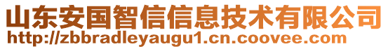 山東安國(guó)智信信息技術(shù)有限公司