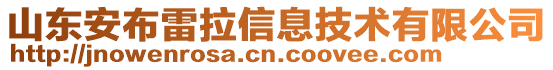 山東安布雷拉信息技術(shù)有限公司