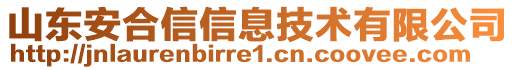 山東安合信信息技術(shù)有限公司