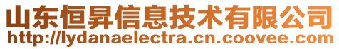 山东恒昇信息技术有限公司