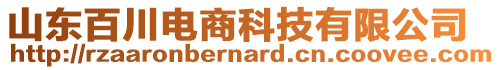 山東百川電商科技有限公司