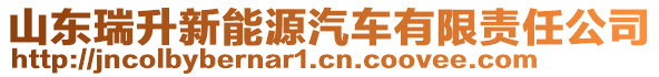 山東瑞升新能源汽車有限責(zé)任公司