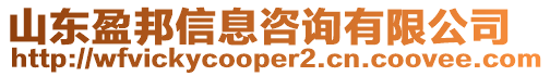 山東盈邦信息咨詢有限公司