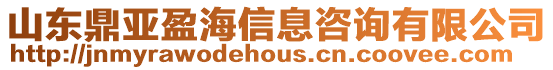 山東鼎亞盈海信息咨詢有限公司