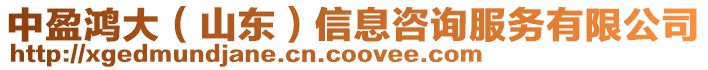 中盈鴻大(山東)信息咨詢服務有限公司