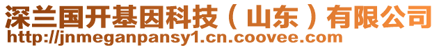 深蘭國開基因科技（山東）有限公司