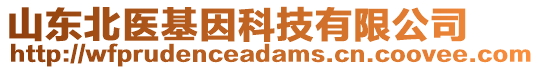 山東北醫基因科技有限公司