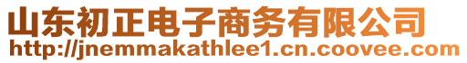 山東初正電子商務(wù)有限公司
