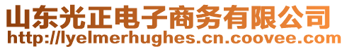 山東光正電子商務有限公司