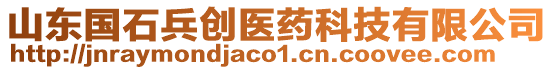 山東國石兵創(chuàng)醫(yī)藥科技有限公司