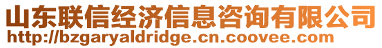 山東聯(lián)信經(jīng)濟(jì)信息咨詢有限公司