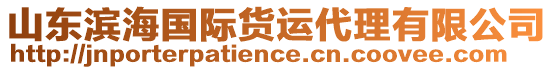 山東濱海國(guó)際貨運(yùn)代理有限公司