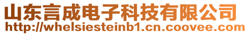 山東言成電子科技有限公司