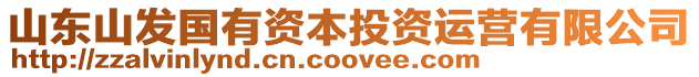 山東山發國有資本投資運營有限公司