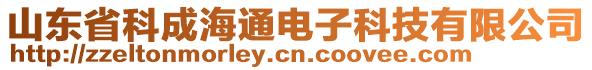 山東省科成海通電子科技有限公司