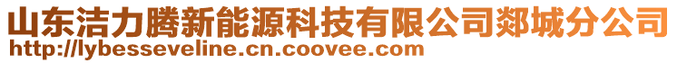 山東潔力騰新能源科技有限公司郯城分公司