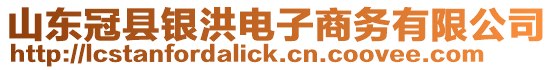 山東冠縣銀洪電子商務(wù)有限公司
