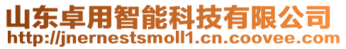 山東卓用智能科技有限公司