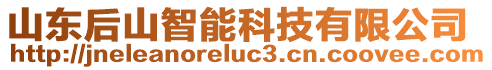 山東后山智能科技有限公司