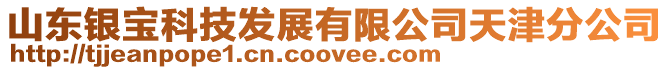 山東銀寶科技發展有限公司天津分公司