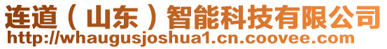 連道（山東）智能科技有限公司