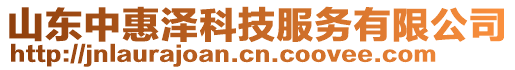 山東中惠澤科技服務(wù)有限公司