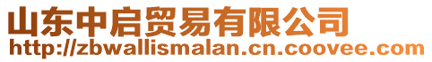 山東中啟貿(mào)易有限公司