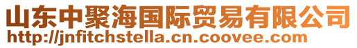 山東中聚海國(guó)際貿(mào)易有限公司