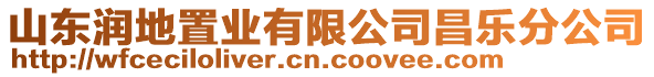 山東潤地置業有限公司昌樂分公司