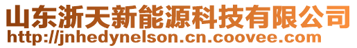 山東浙天新能源科技有限公司