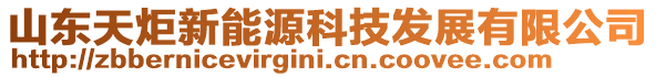 山東天炬新能源科技發(fā)展有限公司