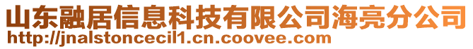 山東融居信息科技有限公司海亮分公司