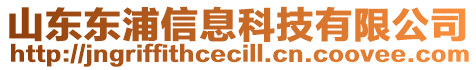 山东东浦信息科技有限公司