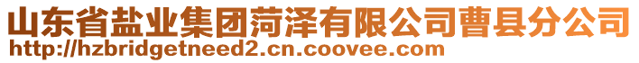 山東省鹽業(yè)集團(tuán)菏澤有限公司曹縣分公司