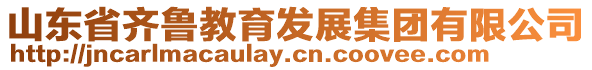 山東省齊魯教育發展集團有限公司