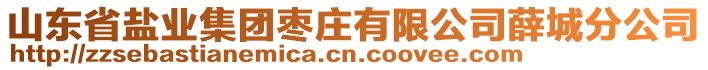 山東省鹽業(yè)集團棗莊有限公司薛城分公司