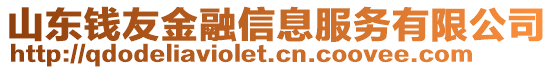 山東錢(qián)友金融信息服務(wù)有限公司