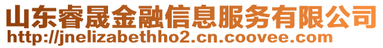 山東睿晟金融信息服務有限公司