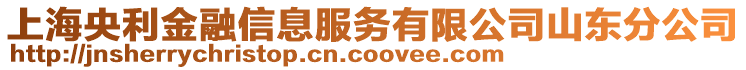 上海央利金融信息服务有限公司山东分公司