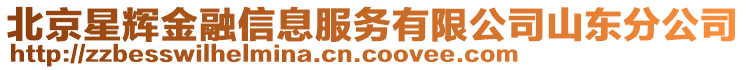 北京星輝金融信息服務(wù)有限公司山東分公司