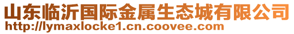 山東臨沂國(guó)際金屬生態(tài)城有限公司