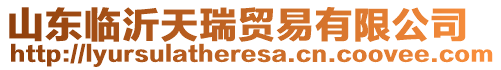 山東臨沂天瑞貿易有限公司