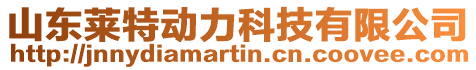 山東萊特動力科技有限公司