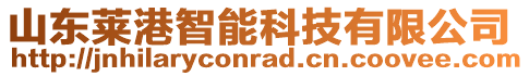 山東萊港智能科技有限公司