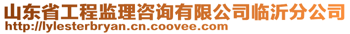 山东省工程监理咨询有限公司临沂分公司