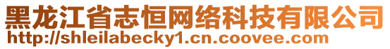 黑龍江省志恒網(wǎng)絡(luò)科技有限公司