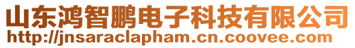 山東鴻智鵬電子科技有限公司