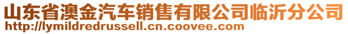 山東省澳金汽車銷售有限公司臨沂分公司