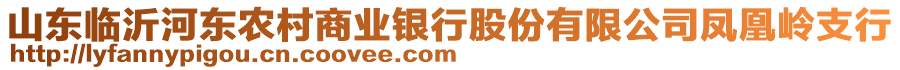 山東臨沂河?xùn)|農(nóng)村商業(yè)銀行股份有限公司鳳凰嶺支行