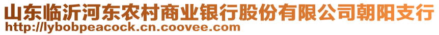 山東臨沂河?xùn)|農(nóng)村商業(yè)銀行股份有限公司朝陽(yáng)支行